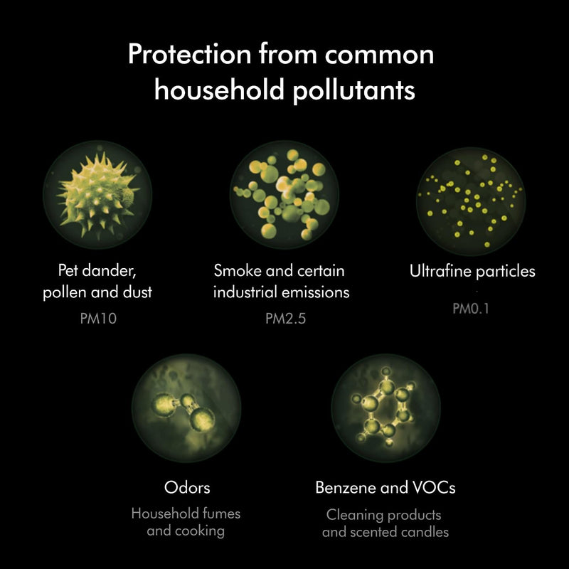 Dyson Combi 360° Glass HEPA and Activated Carbon Air Purifier Filter-4