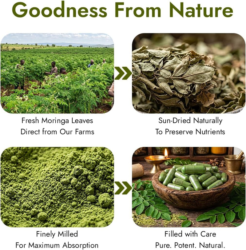 Kapiva Moringa Capsules | Natural source of Vitamins & Minerals | 60 Caps, 500mg each-8