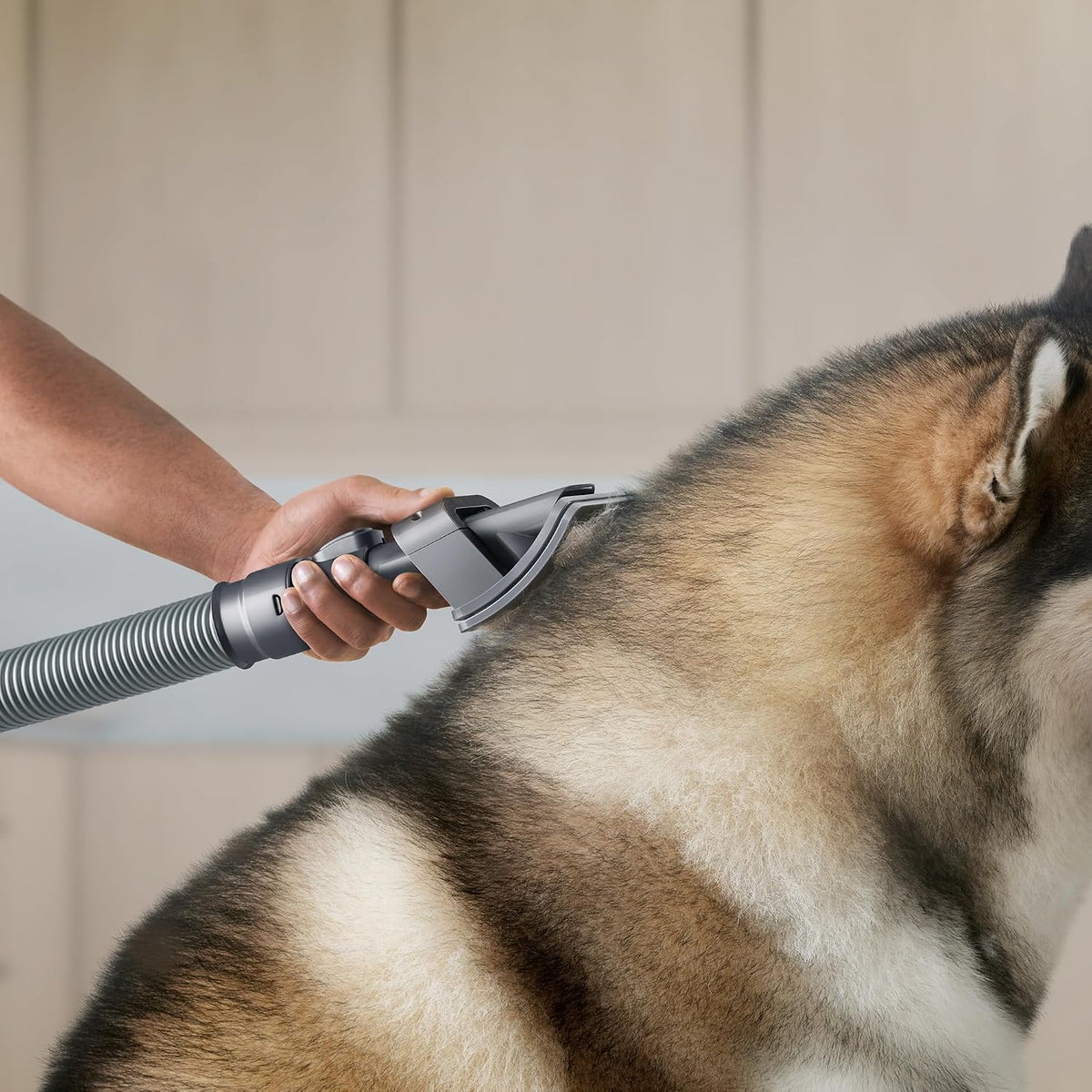 Dyson Dog Groom