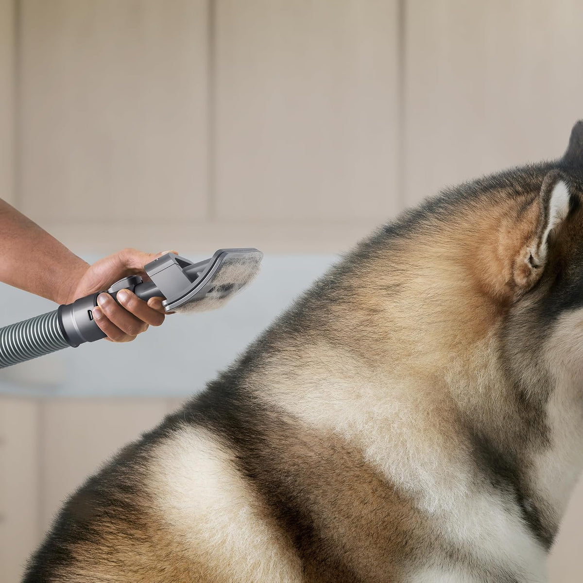 Dyson Dog Groom-3
