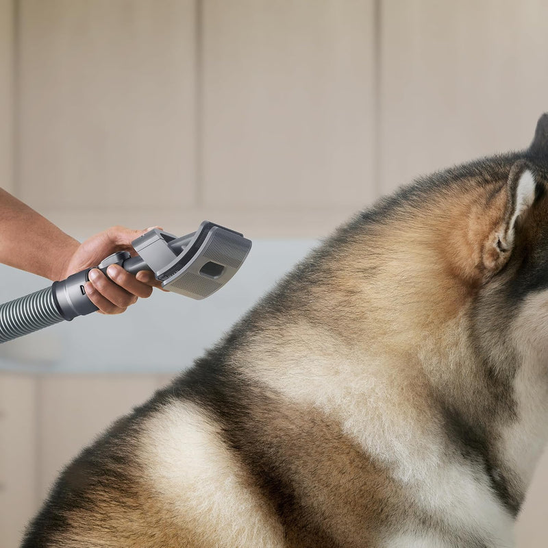 Dyson Dog Groom-4