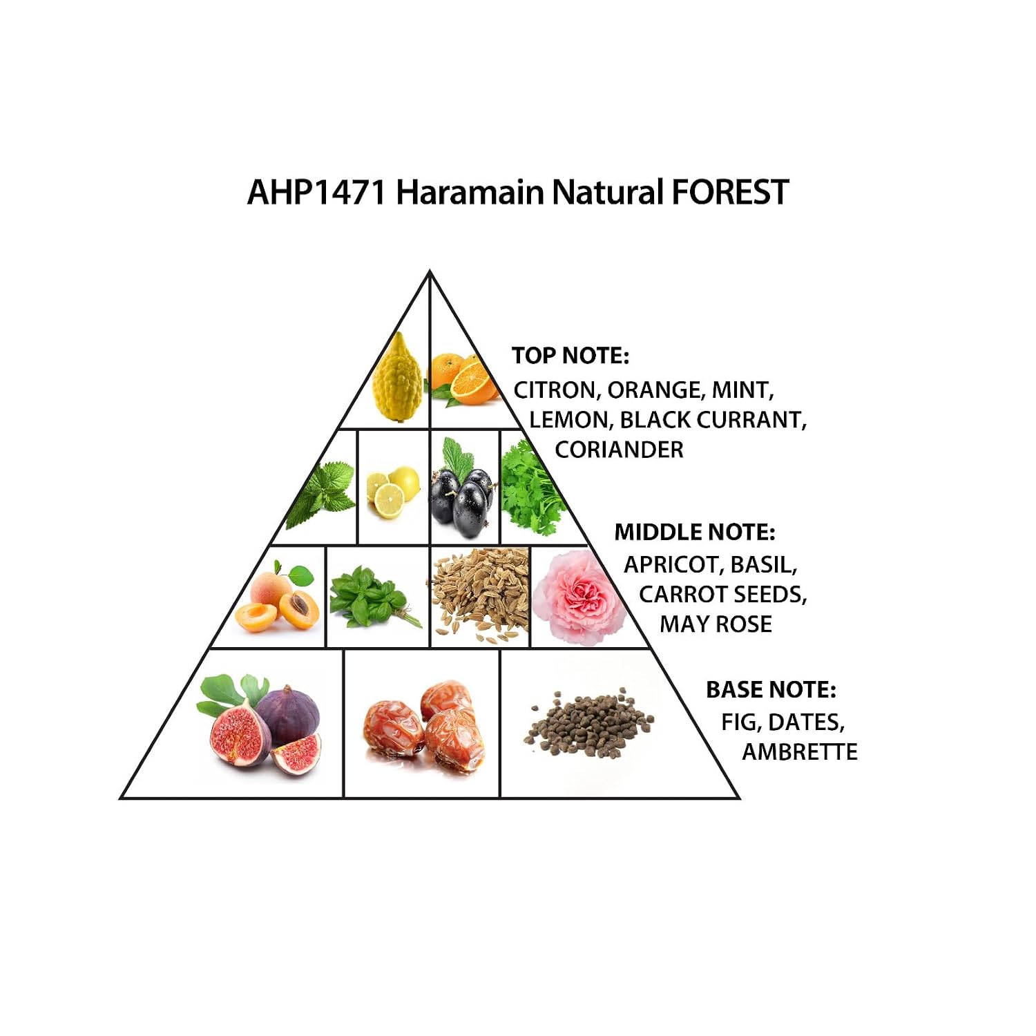 Al Haramain Natural Forest - Perfumes for Women and Cologne Unisex-3
