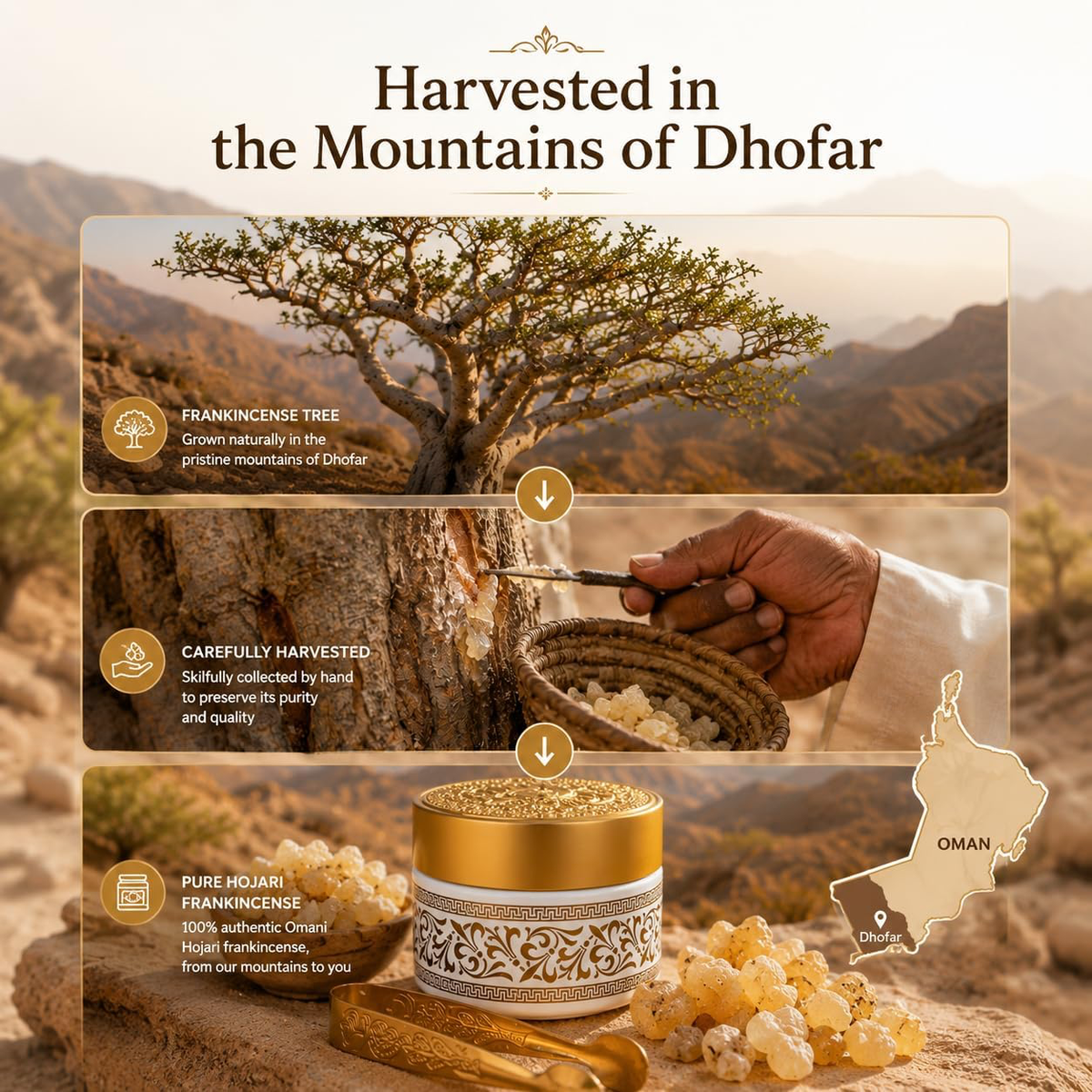 Hojari Luban (Frankincense) Resin Chunks 65g | Premium Omani Boswellia Sacra-6