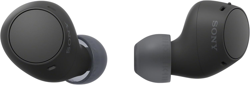 Sony WF-C510 Wireless Earbuds-2