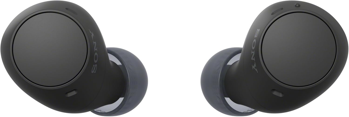 Sony WF-C510 Wireless Earbuds-3